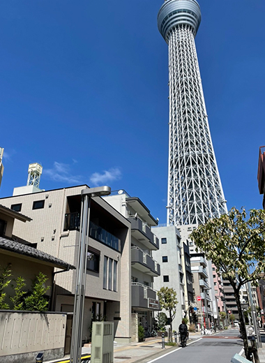株式会社アオテアロアオフィス